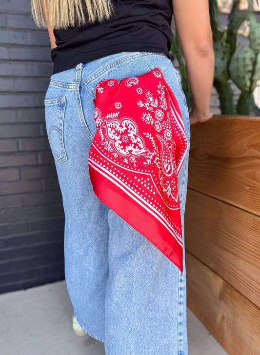 Small Buffalo Bandana